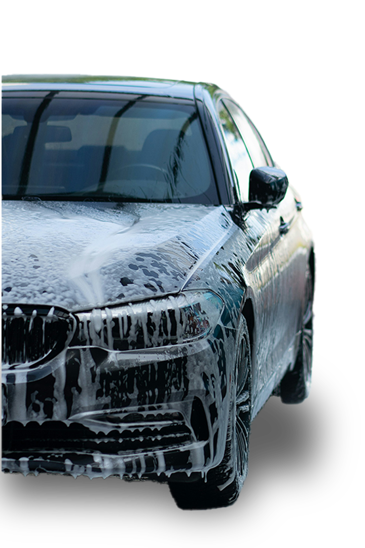 Professional car cleaning service